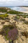 Beautiful Coastline Of Sagres Stock Photo