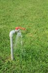 Tab Water Flowing Out From The Tab To Green Grass Field Stock Photo