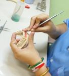 Producing Dentures Laboratory Stock Photo