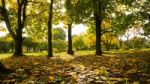 Autumn Season In Russia Moscow Stock Photo