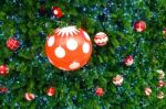 Red Ball And Light Bulb On Pine Tree Stock Photo