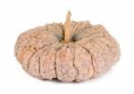 Pumpkin Isolated On The White Background Stock Photo