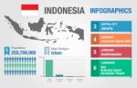 Indonesia Infographics, Indonesia Statistical Data, Illustration Stock Photo