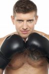 Young Male Boxer Stock Photo