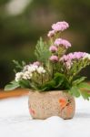 Flower On Table Stock Photo