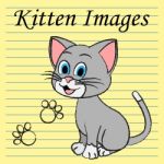 Kitten Images Shows Domestic Cat And Cats Stock Photo