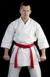 High Contrast Karate Young Fighter Stock Photo