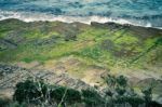 Tessellated Pavement In Pirates Bay Stock Photo