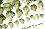 Bunch Of Broccoli Vegetables Aligned In A Perfect Way Stock Photo