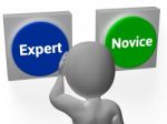 Expert Novice Buttons Show Professional Or Apprentice Stock Photo