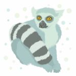 Ring Tailed Lemur Stock Photo