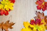 Frame Of Autumn Leaves Stock Photo