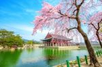 Gyeongbokgung Palace With Cherry Blossom In Spring,south Korea Stock Photo