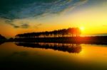 Silhouette And Reflections Of Row Tree At Sunset Stock Photo