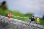 Red Angry Bird Pull His Friends Up The Hill With A Rope Attached Stock Photo