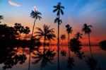 Tall Coconut Palm Trees At Twilight Sky Reflected In Water Stock Photo