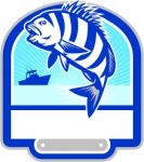 Sheepshead Fish Jumping Fishing Boat Crest Retro Stock Photo