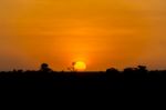 Sunset In Tanzania Stock Photo