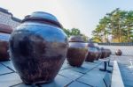 Jars Or Kimchi Jars In South Korea Stock Photo