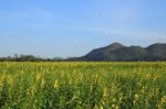 Country Farm Area To Mountain Stock Photo