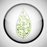 Tree In Circle Frame. Icon Concept Stock Photo