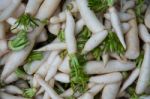 Radish Stock Photo