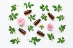 Bottles Of Essential Rose Oil For Aromatherapy Stock Photo