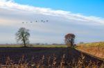 Landscape Near Ely Stock Photo