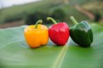 Bell Pepper On Banana Leaf Stock Photo