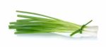 Green Onion Isolated On The White Background Stock Photo