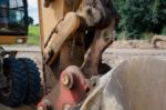 Excavator Stock Photo