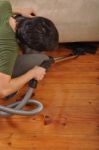 Man Doing The Housework Stock Photo