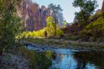 View From The Bank Of The Virgin River Stock Photo