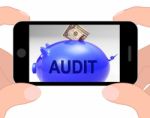 Audit Piggy Bank Displays Auditing Inspecting And Finances Stock Photo