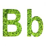 English Alphabet Made From Green Grass On White Background Stock Photo