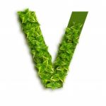 Letter V With Leaves Stock Photo