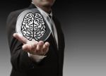 Brain Of Business Intelligence Stock Photo