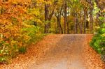 Pathway In Colorful Autumn Arboretum Park Stock Photo