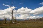 Scenic View Of The Countryside Around The Grand Teton National P Stock Photo