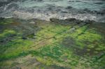 Tessellated Pavement In Pirates Bay Stock Photo