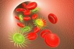 Red Blood Cell And Virus Stock Photo