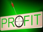 Profit Shows Earning Revenue And Business Growth Stock Photo