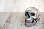 Human Skull On Wood Background Stock Photo