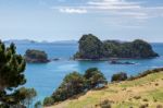 Coromandel Coastline Stock Photo