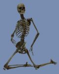 skeleton kneeling down Stock Photo