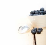 Fresh Blueberry Bowl Stock Photo