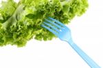 Green Lettuce For Salad And Fork In White Background Stock Photo