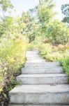 Garden Outdoor Pathway Step Up Stock Photo