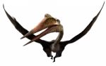 Quetzalcoatlus Stock Photo