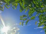 Beautiful Sky And Blue Sky Stock Photo